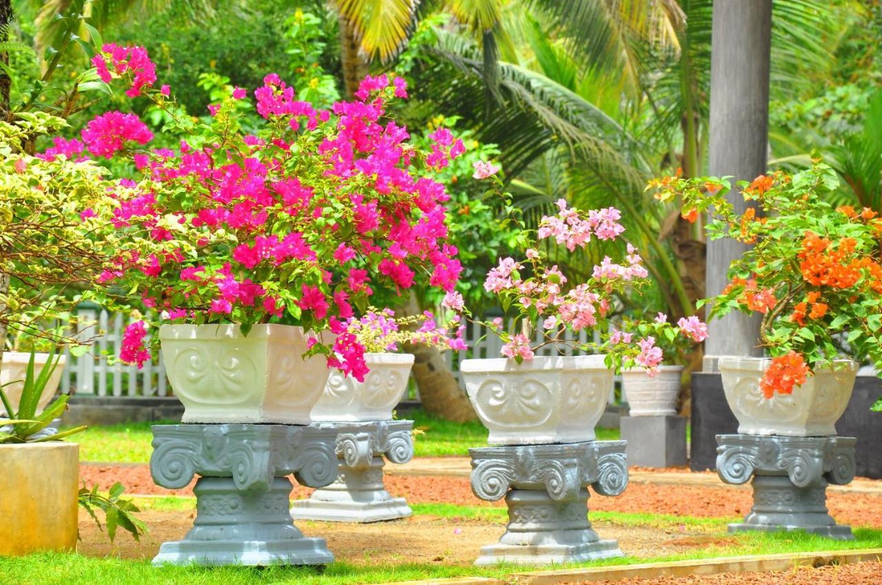 Canal Villa Bentota Buitenkant foto